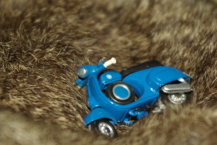 Test macro: vecchio zoom Pentax F 28/80 montato su  K10D